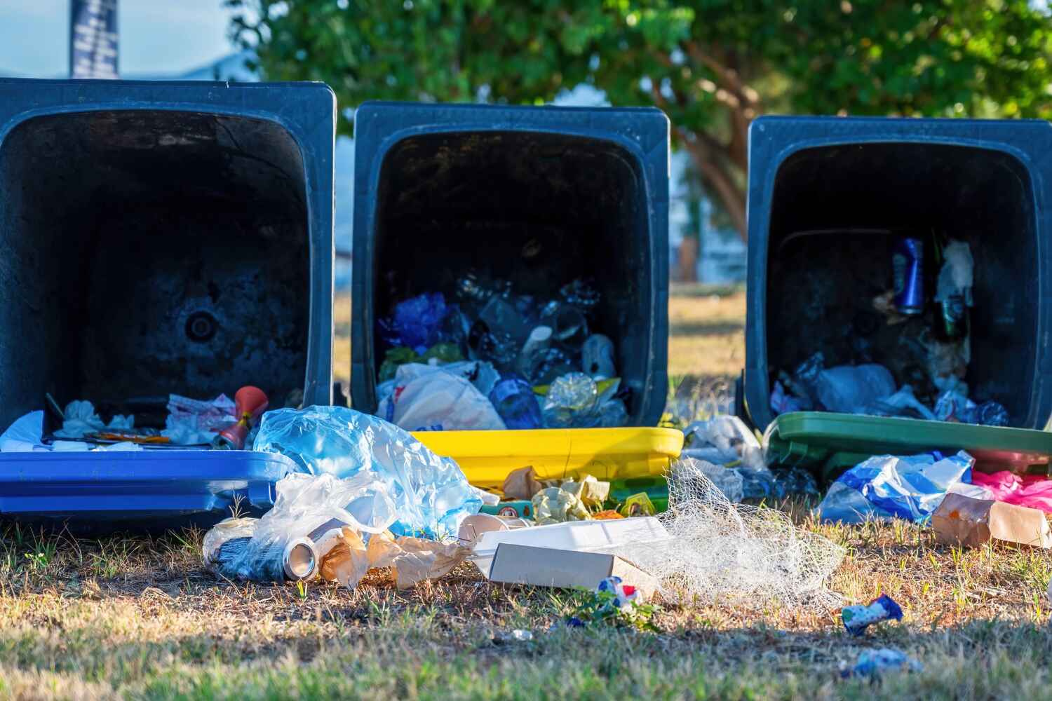 Best Junk Removal Near Me  in Elk Point, SD